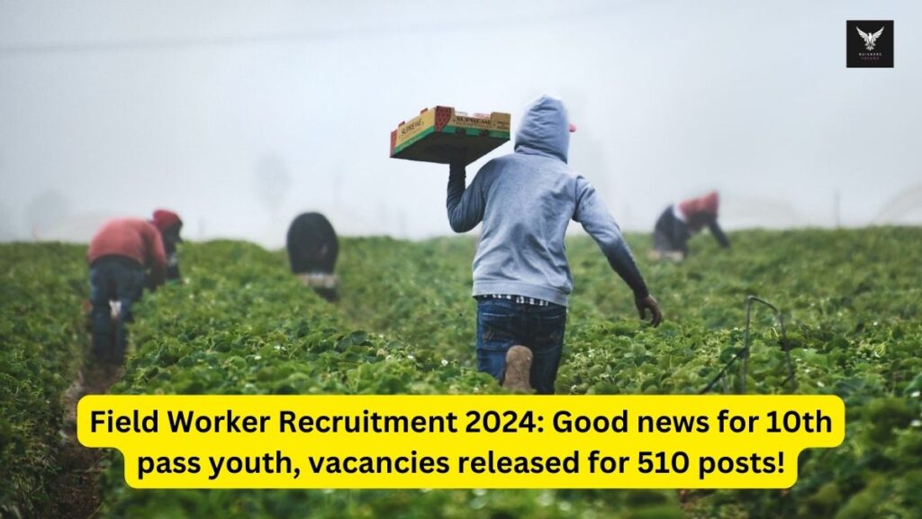 Field Worker Recruitment 2024