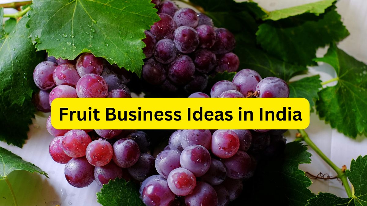 Fruit Business Ideas in India